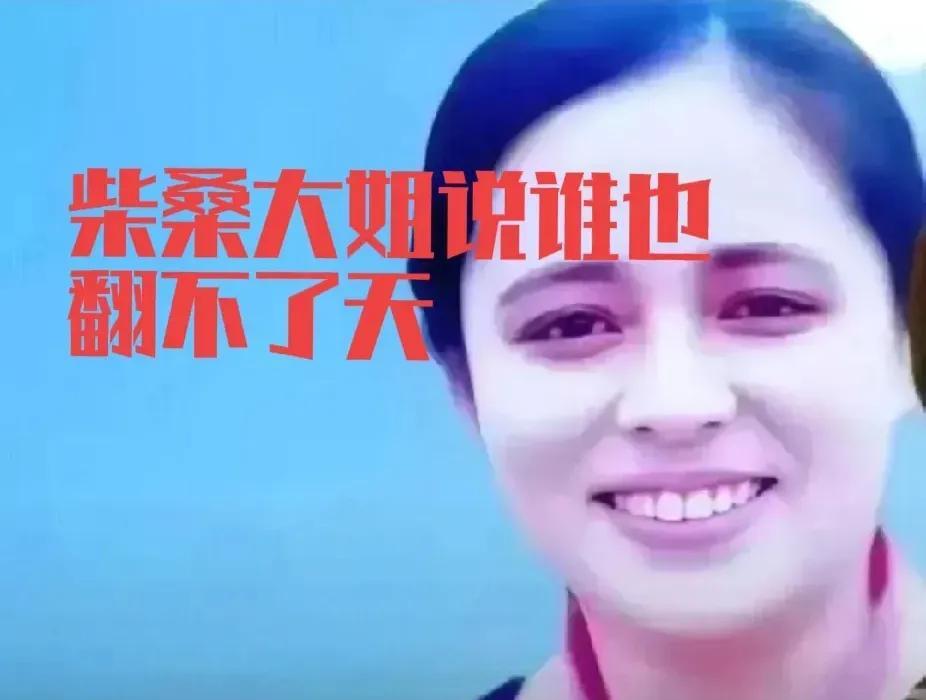 有大事情要发生！京城的雨淅淅沥沥，仿佛也为这即将到来的变故增添了几分肃杀