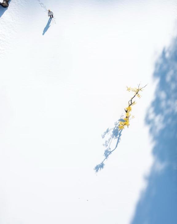 西安1h | 闯入秦岭山中的冰雪秘境…西安1h，我找到了秦岭山中的冰雪秘境?