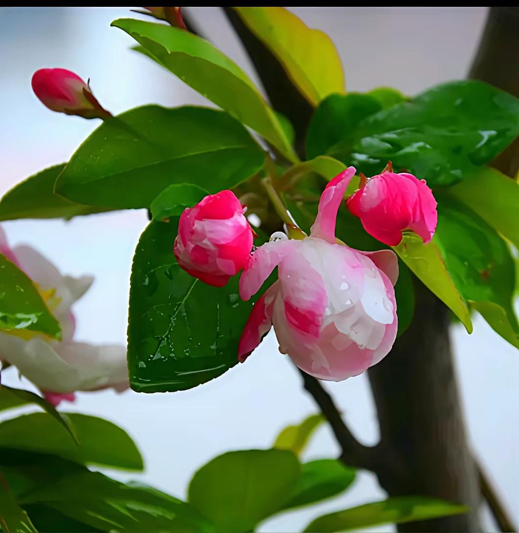 一个家越过越旺的十句箴言1. 家和为贵，和气生福一家人不争对错、不翻旧账