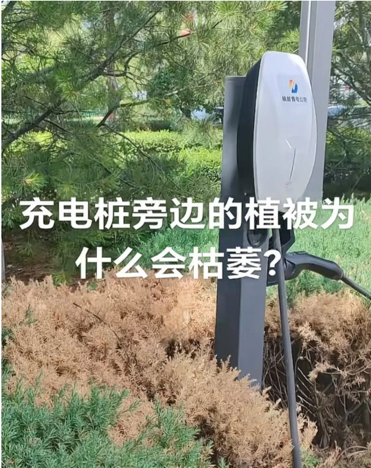 为什么，是因为没人敢浇水，尿尿吗[哭笑不得][哭笑不得][哭笑不得][哭笑不得]
