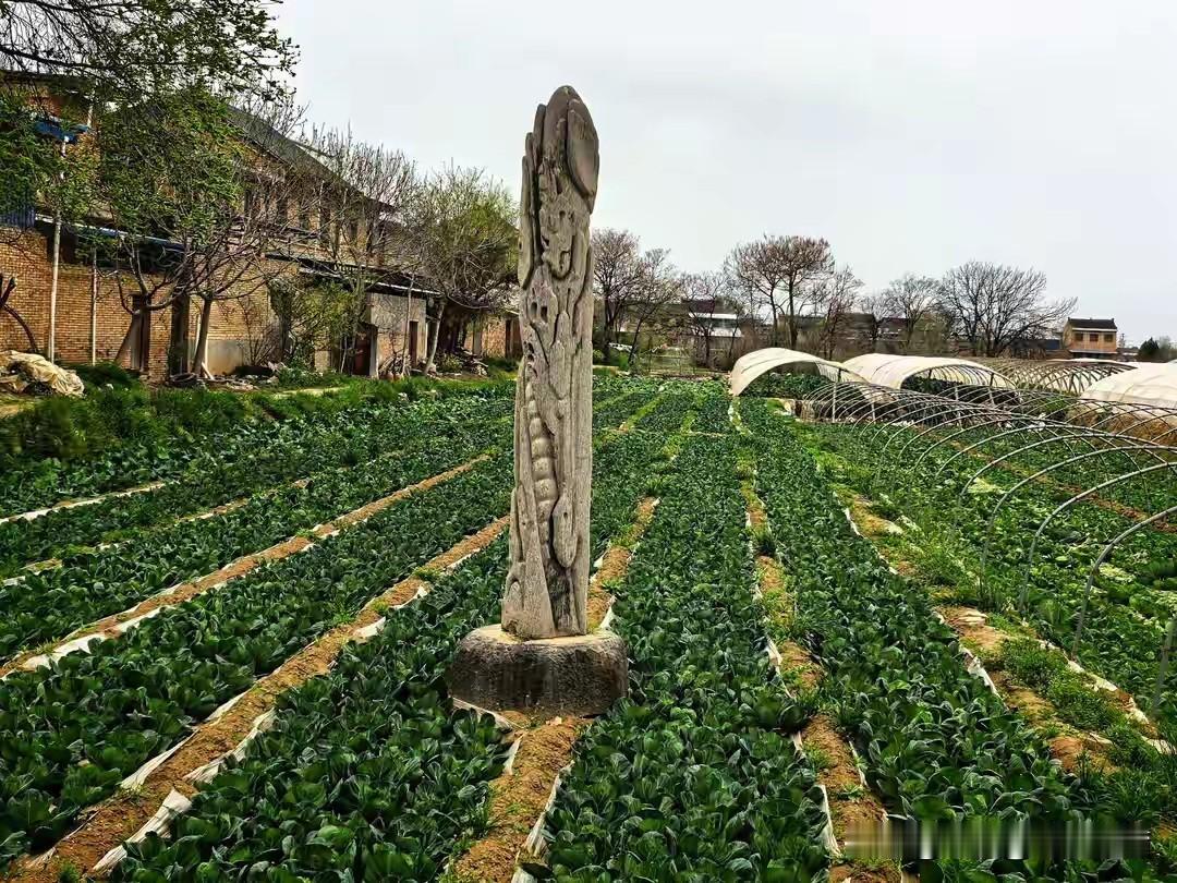 菜地里那两根石柱子还在，可柱子后头那个家族早绝户了。泾阳门家，明朝初年发迹，