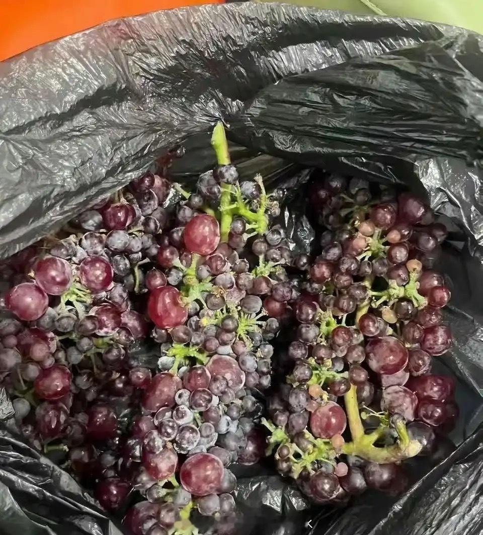 没见过这么抠的邻居，不想送干脆就别送了