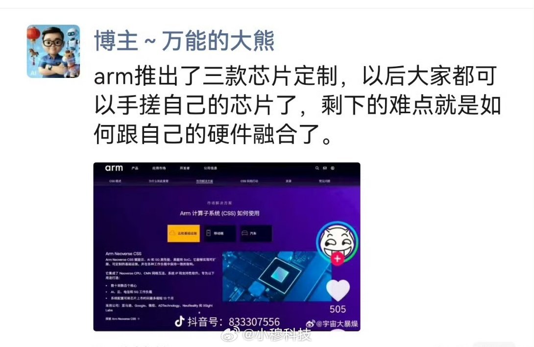 大熊评Arm推出定制芯片[思考]​​​