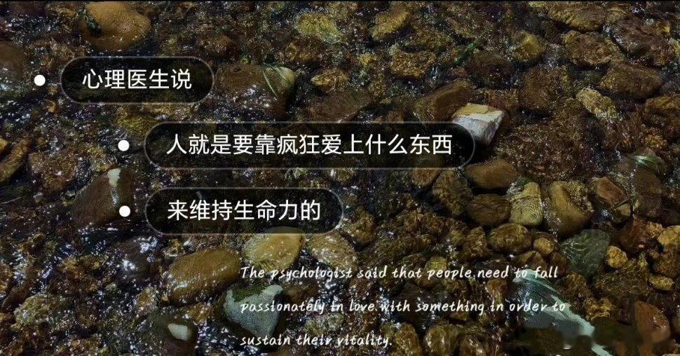 人就是要靠疯狂爱上什么东西，来维持生命力的。​​​​