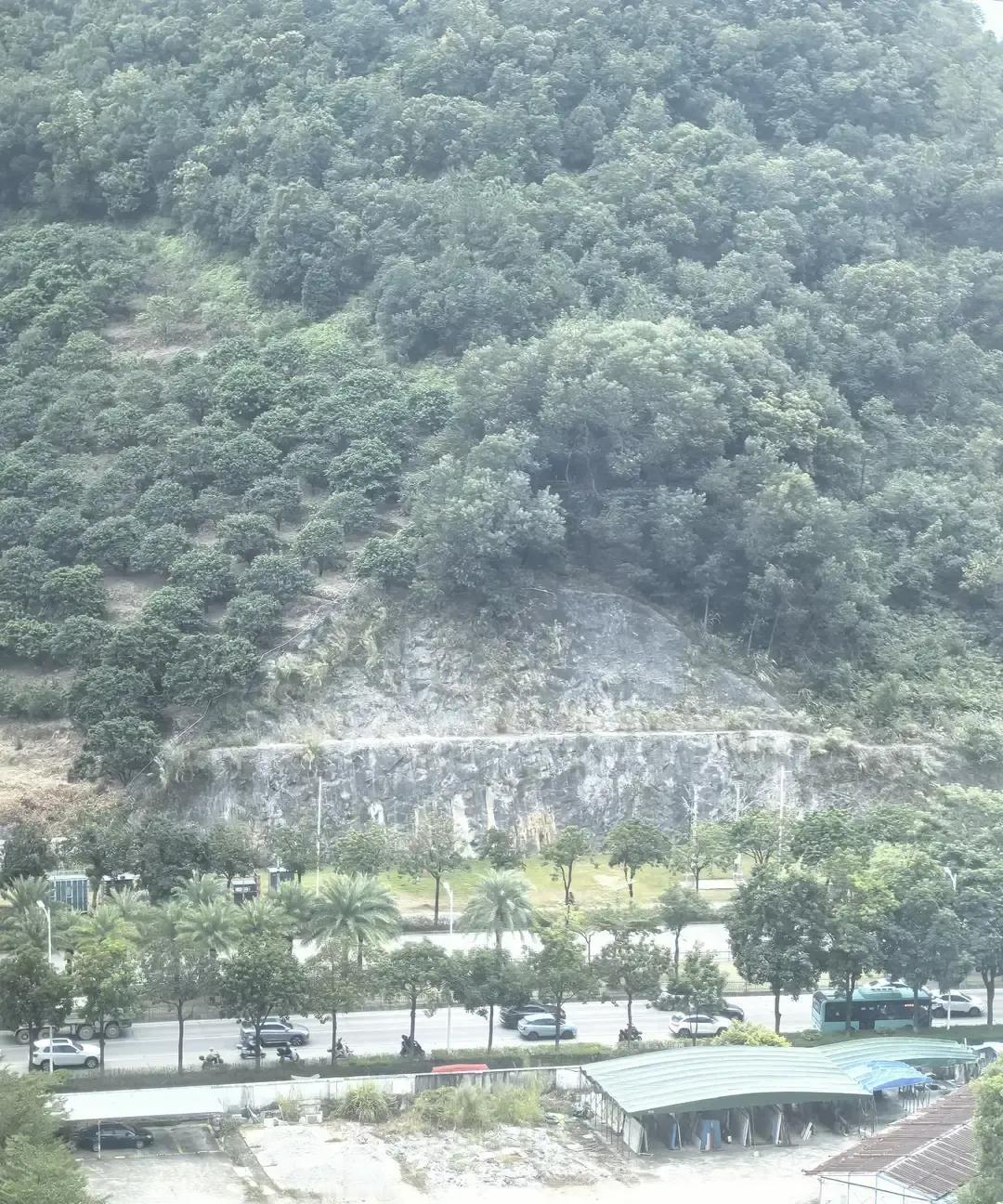 大亚湾龙海二路被传预留口子接深圳地铁14号线，看房的人一听就停不下脚步。我陪朋