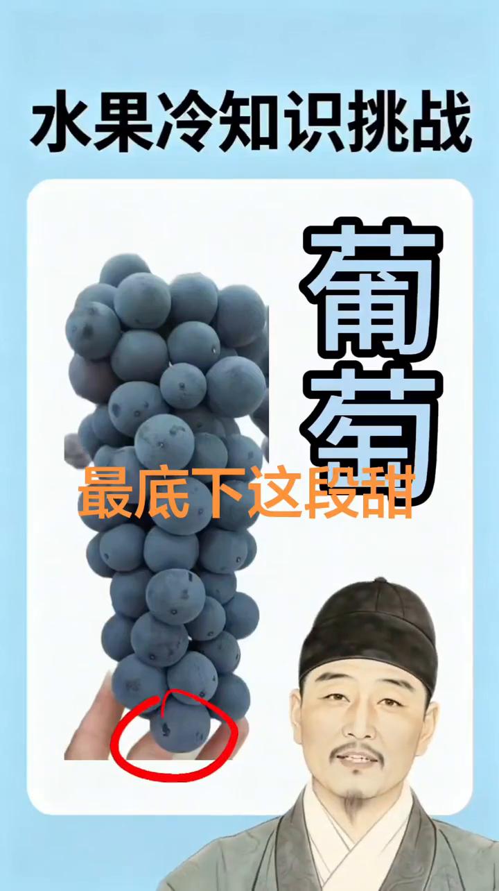 水果冷知识挑战。·葡萄：最底下这段甜，整个都是甜，外面有几个花瓣，里面就几个果