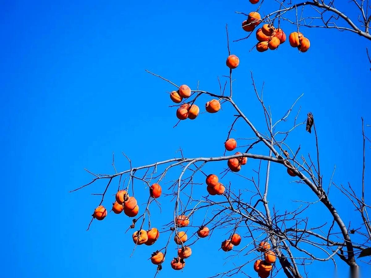 我身边真有个狠人，硬生生把自己跑老了十几岁。真事儿。我小舅子，原来140斤，看