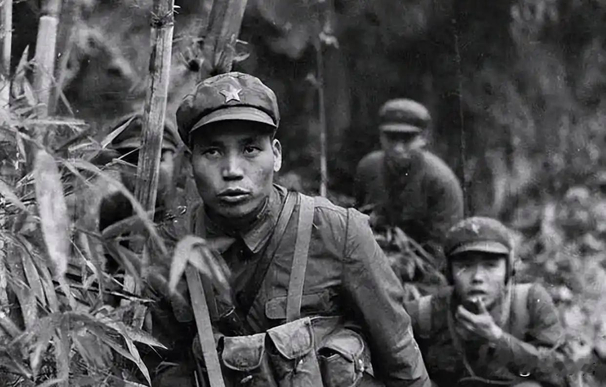 1979年撤军夜，128师侦察兵密报师长：越军338师穷追不舍，真相非我军溃退，