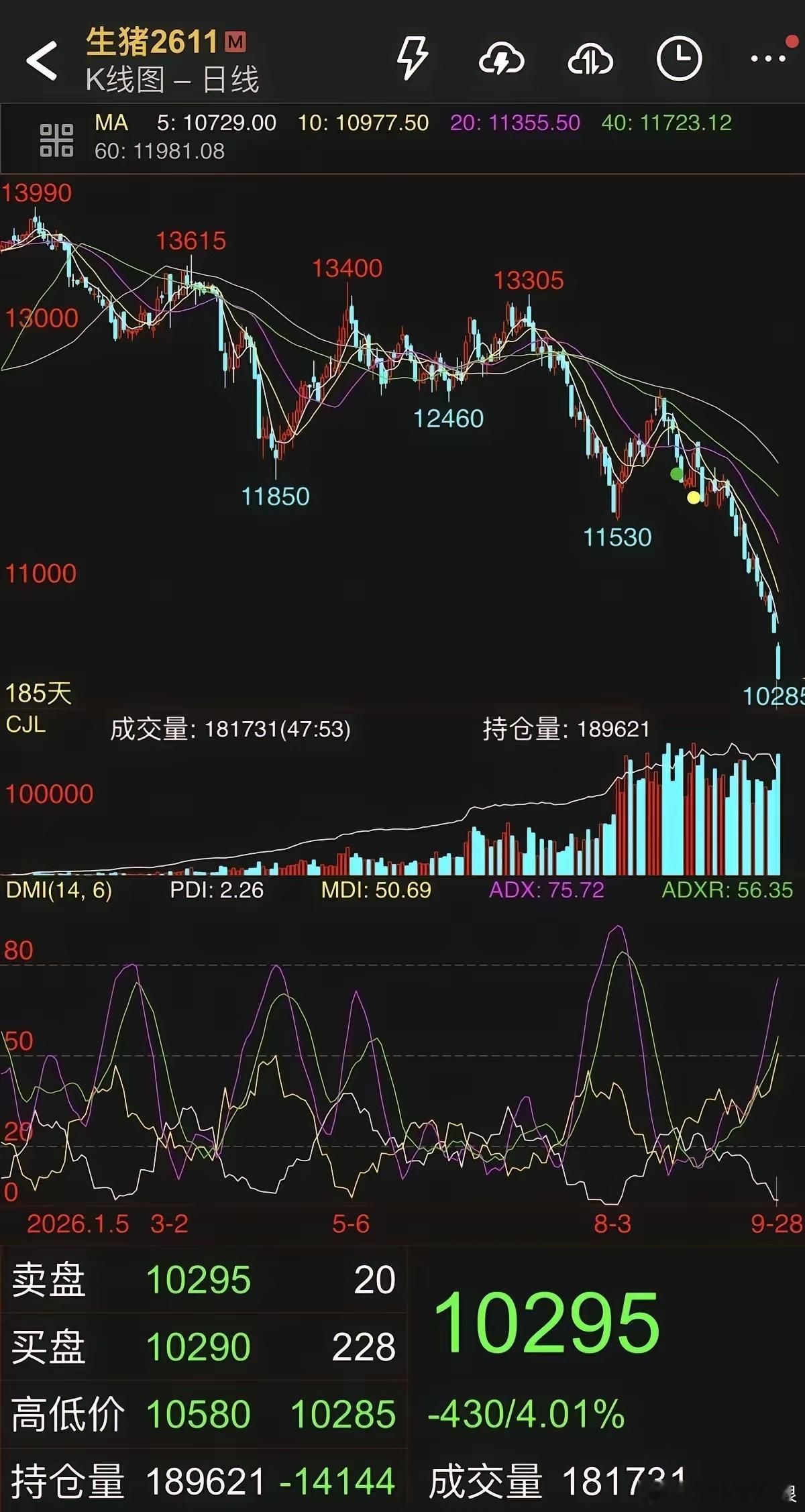 技术面早早就跌穿了多重支撑，这波下跌说白了就是散户死扛做多、主力持续砸空。我之前