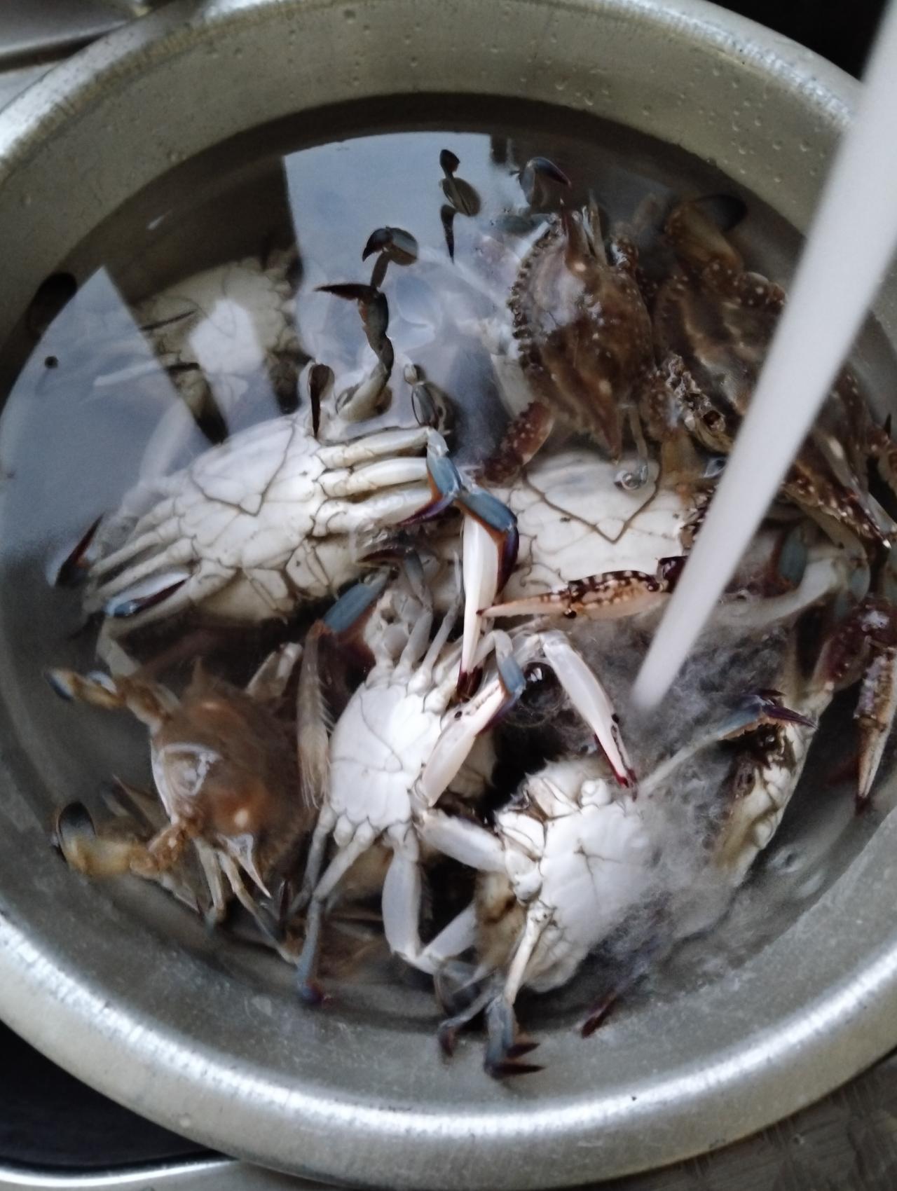 今天下午我在西口码头上，买了4个人的海鲜。只有一个叫‘’徐东华‘’的女人，卖给