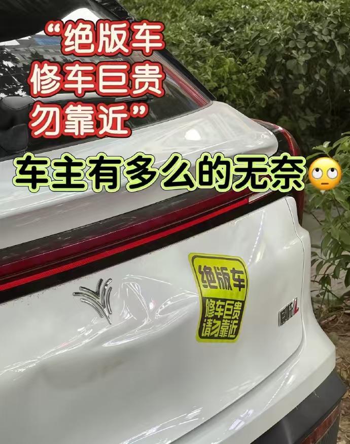 这事儿最近在车友群里讨论得挺多的。威马、高合、极越、哪吒一个接一个倒下，当初买车