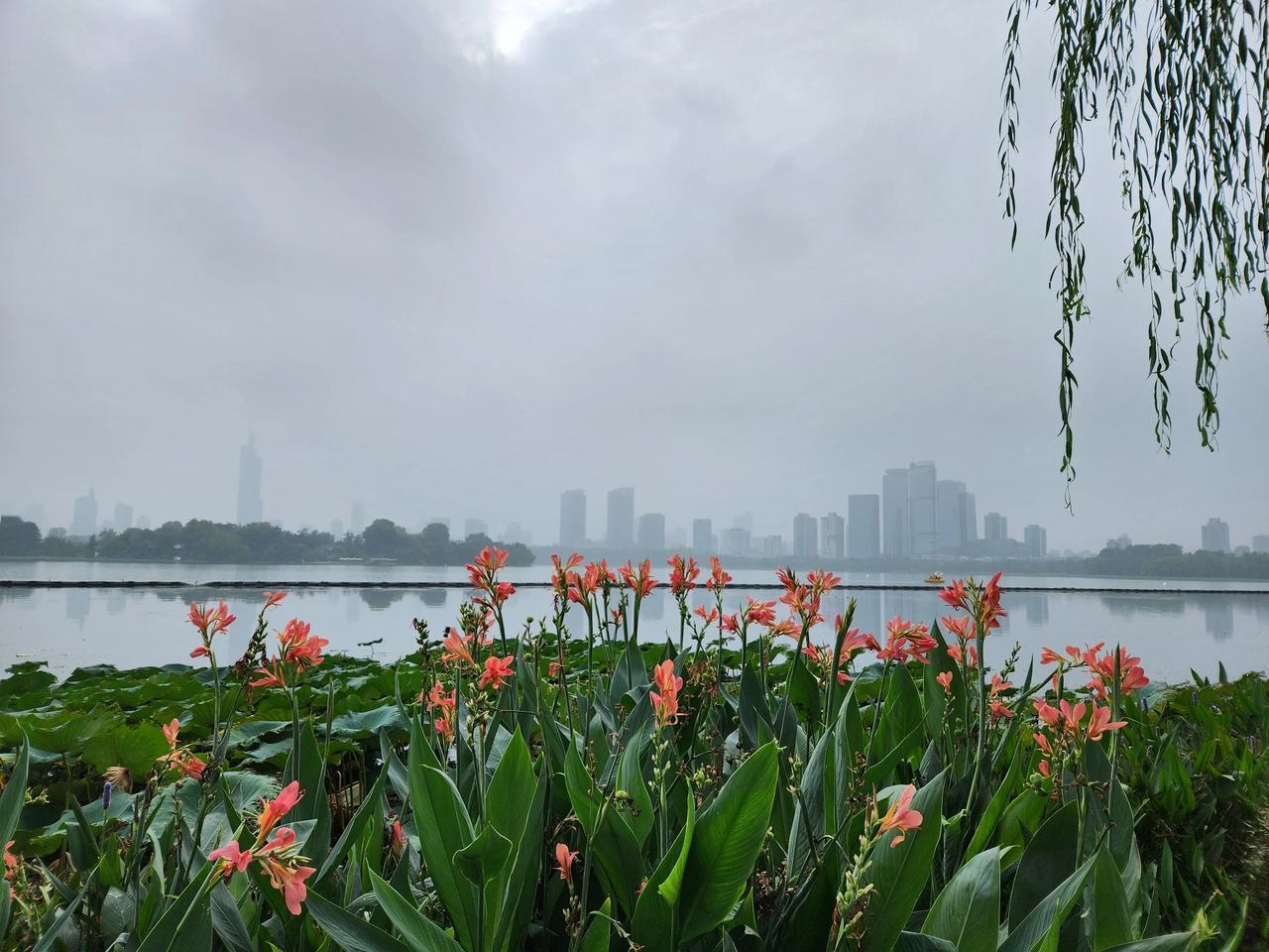 如果你来南京，回去的时候在南京站等火车，千万不要在火车站候车室傻等。只要你到一
