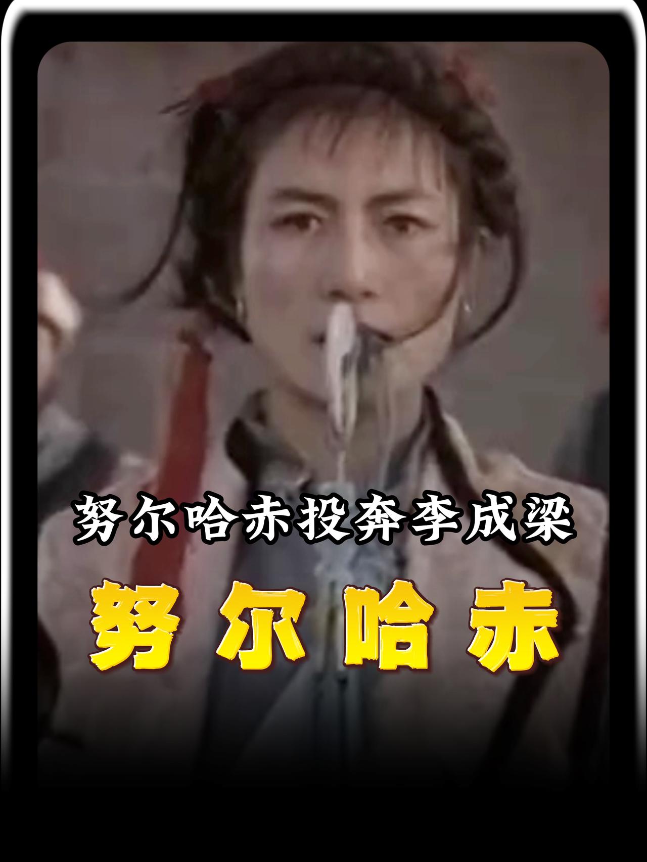 公元一五八二年，大明辽东总兵李成梁一次看似成功的军事清洗，却没有将敌人消灭干净，