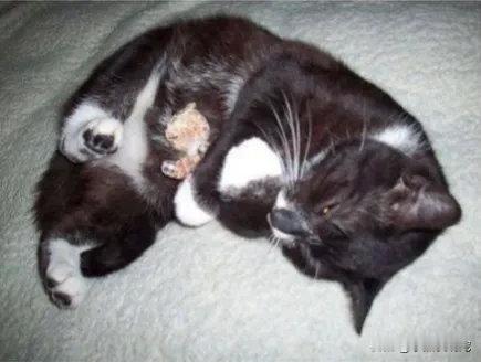 从小到大都喜欢抱这个小熊玩具！