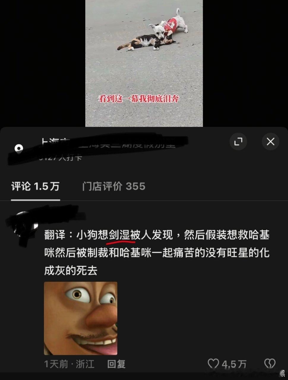 原视频是小猫出车祸小狗在旁边扒拉…评论区全是这种。没一条正常。bro别把自己想干