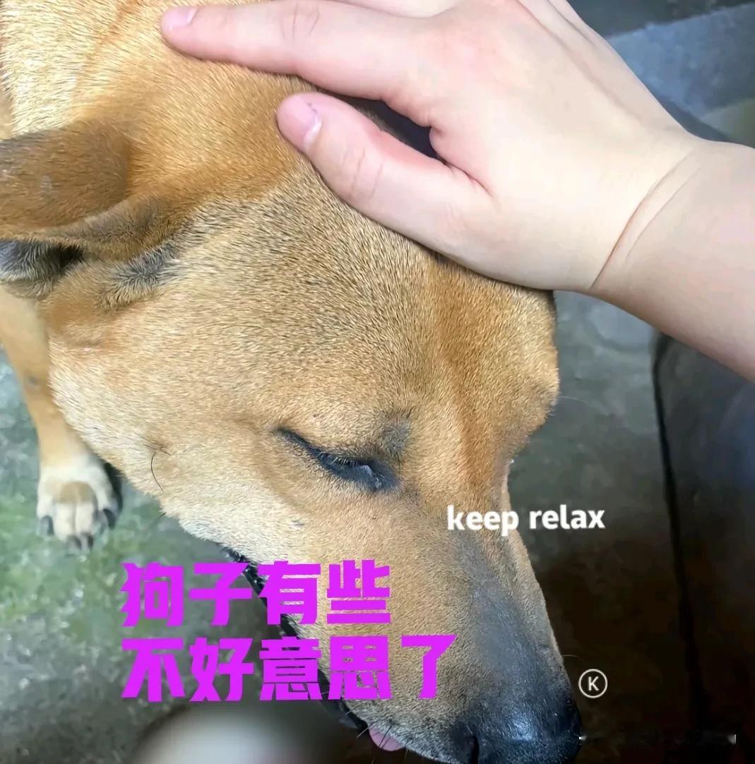 五一节回了一趟老家，由于路上堵车比较厉害，到家时已经晚上了。可能是太久没见的原因