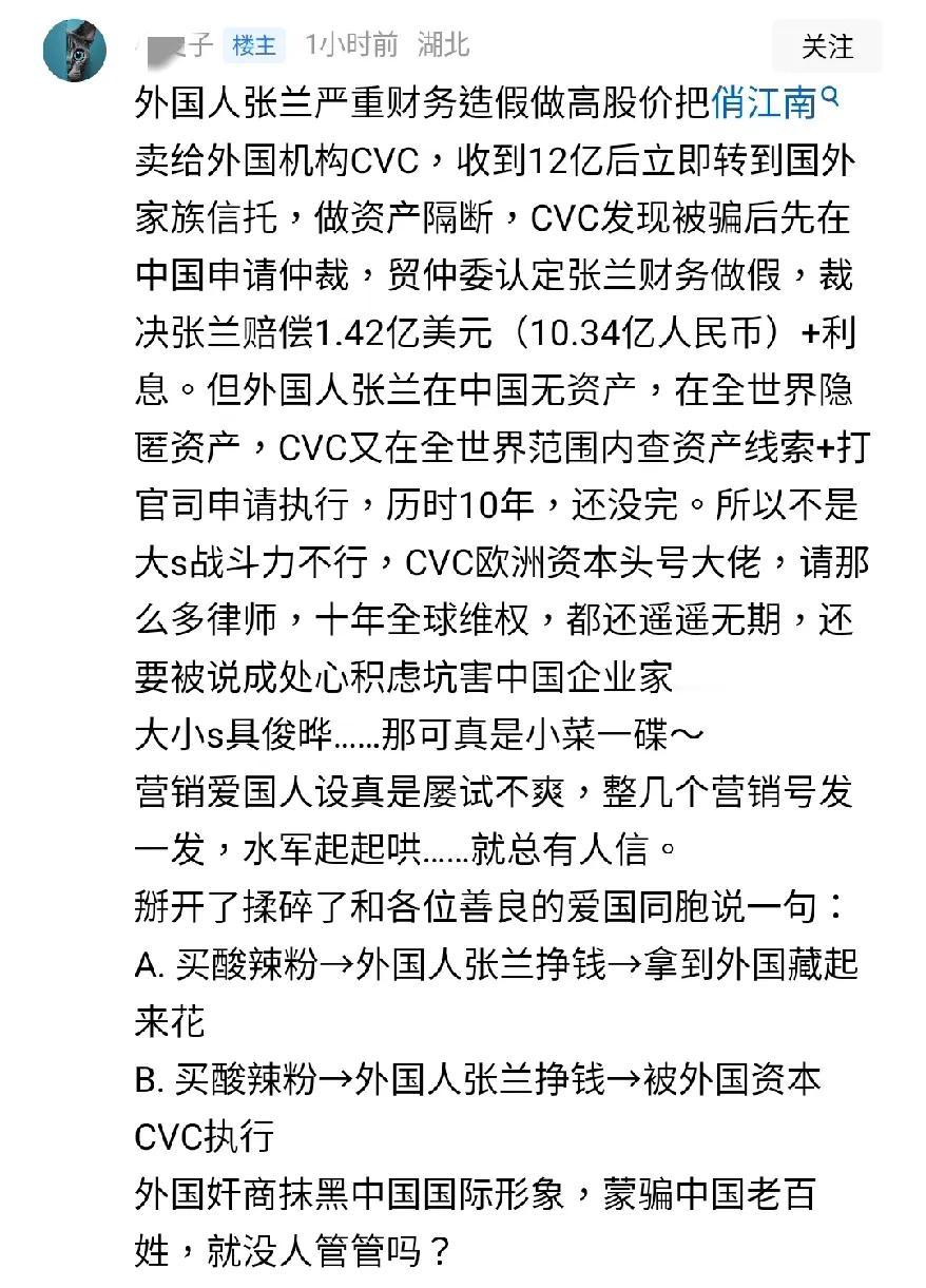 这个人说的太通透了，张兰其人真实面目国际老赖张兰早年间做假账忽悠欧洲投资巨头