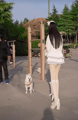 你个小哈巴狗，本美女吵架就没输过，咱看谁吵得过谁！[大笑]