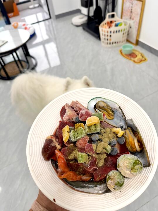 小狗的漂亮饭✨