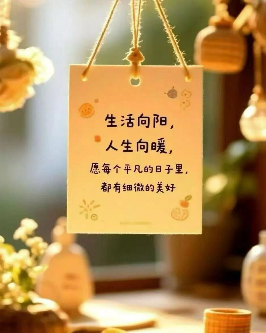 我们都在平凡的日子里拼命挣扎，拼命想活成别人期待的人啊……