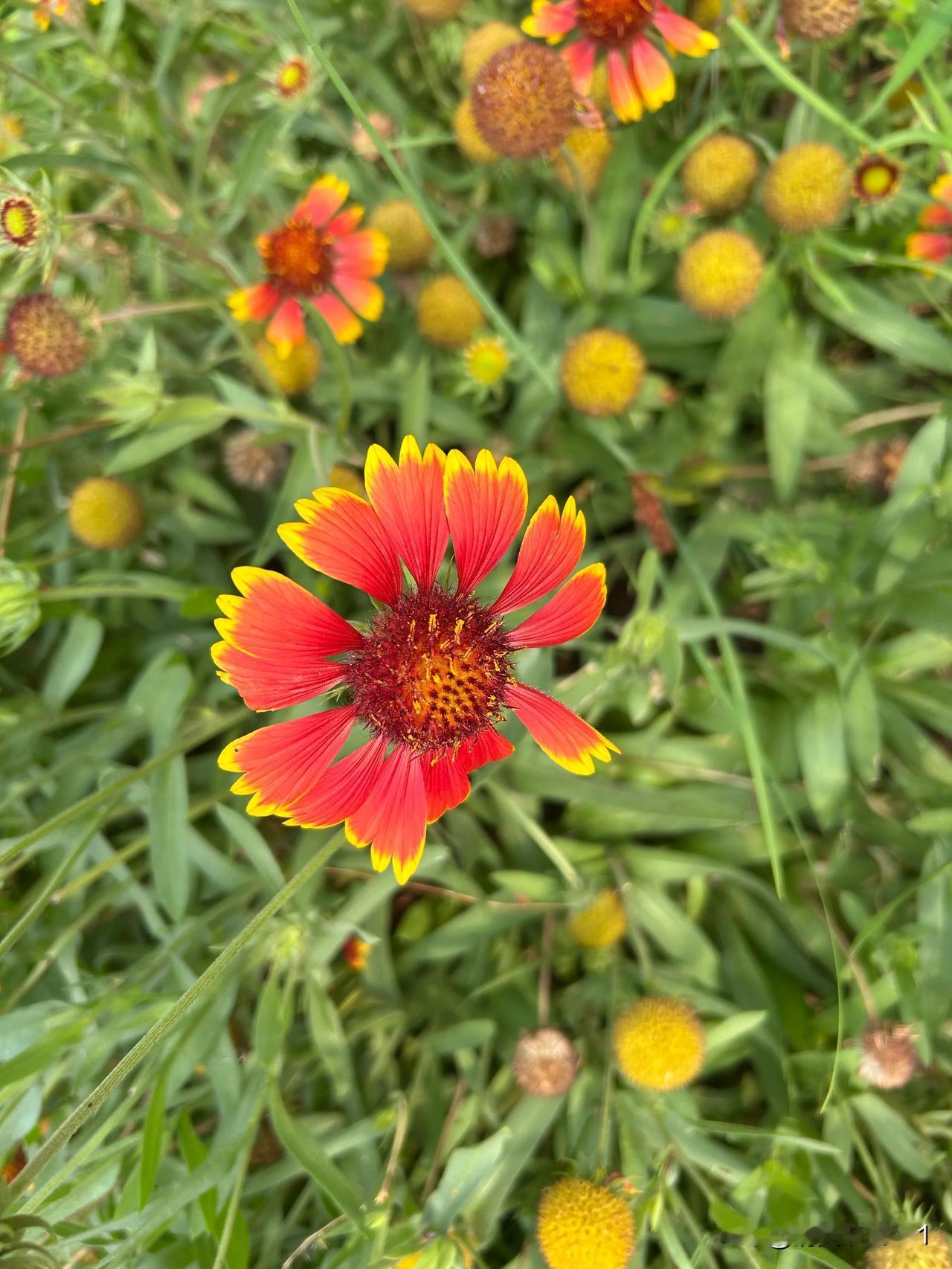 北京放宽购房条件了，我感觉房价也不会涨多少。据说，现在北京的存量房很多，卖几