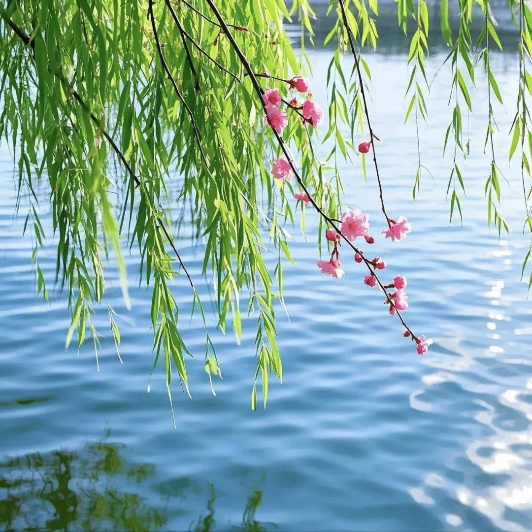 有没有人和我一样，炒股全凭感觉？不会看月线，也不研究周线，直觉股不错，先入