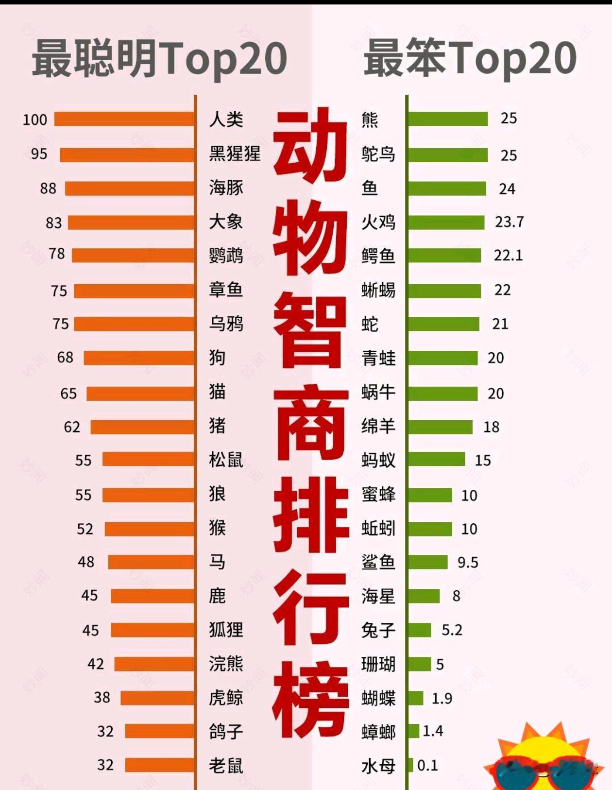 都别说猪蠢了，猪还是很聪明的
