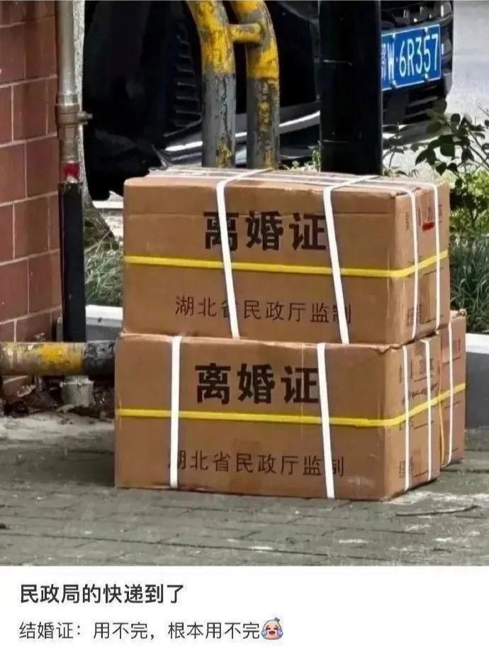 太真实了啊