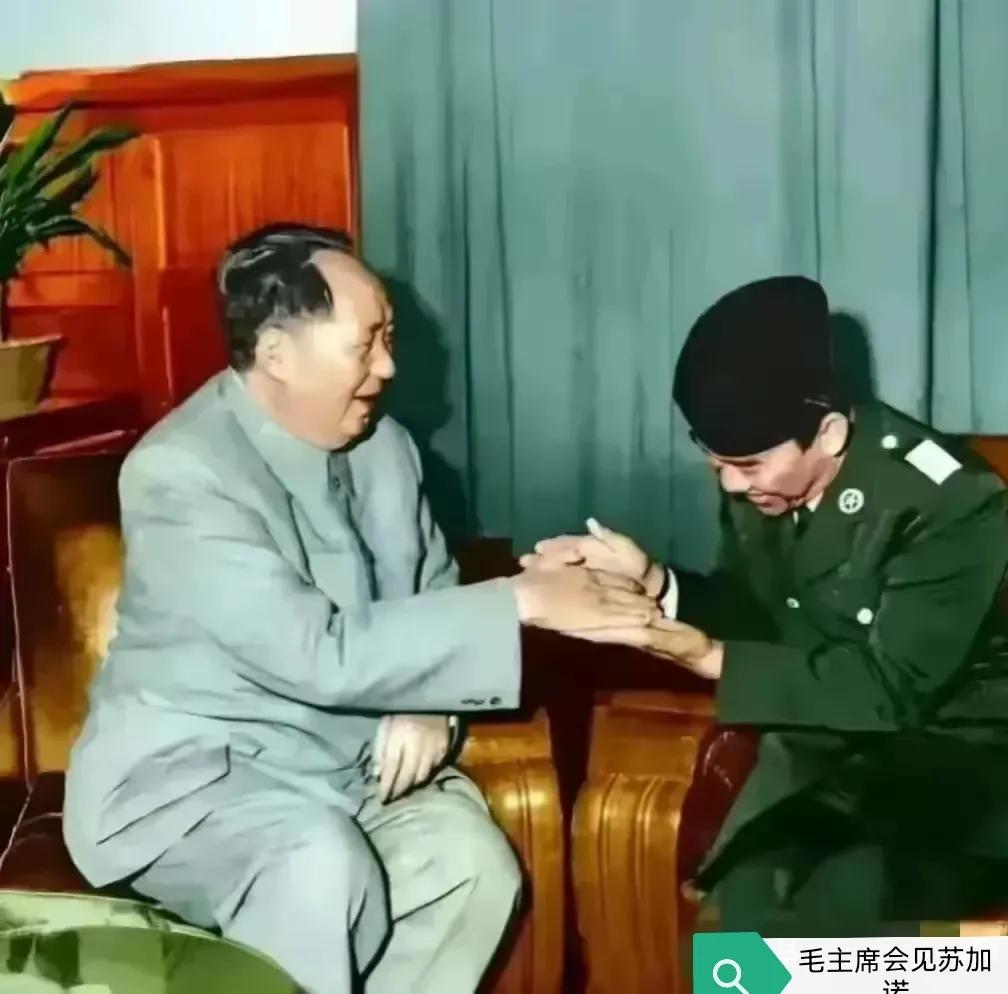 1956年，印尼总统苏加诺访华，见到了仰慕已久的毛主席，并提出不在条件较好的钓鱼