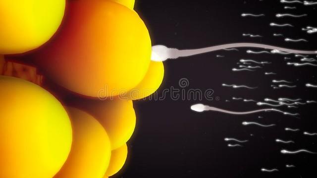 有白带就是排卵期？排卵期性欲更旺盛？排卵期会有这5个表现白带只是排卵期信号里