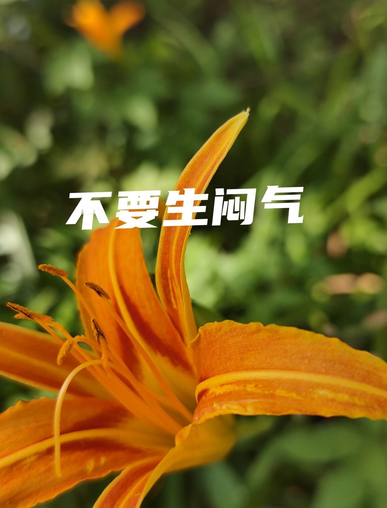 河南鹤壁九零后妹妹乳腺癌去世，太年轻了。可能过度治疗了吧，化疗是不是太多呢？她丈
