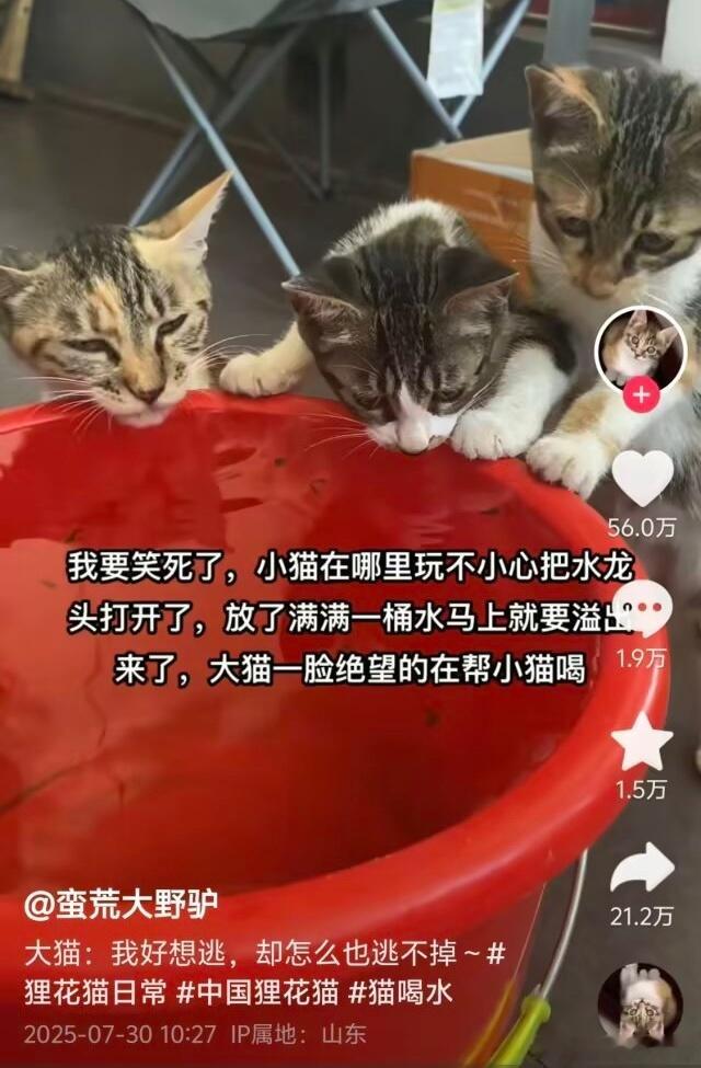 好萌​​​