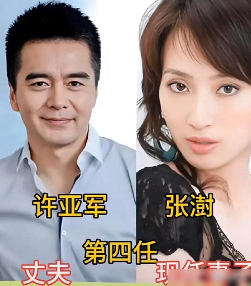 都说许亚军花心，可他跟何晴离婚时，一分钱没争，连律师都没请。2003年，圈里