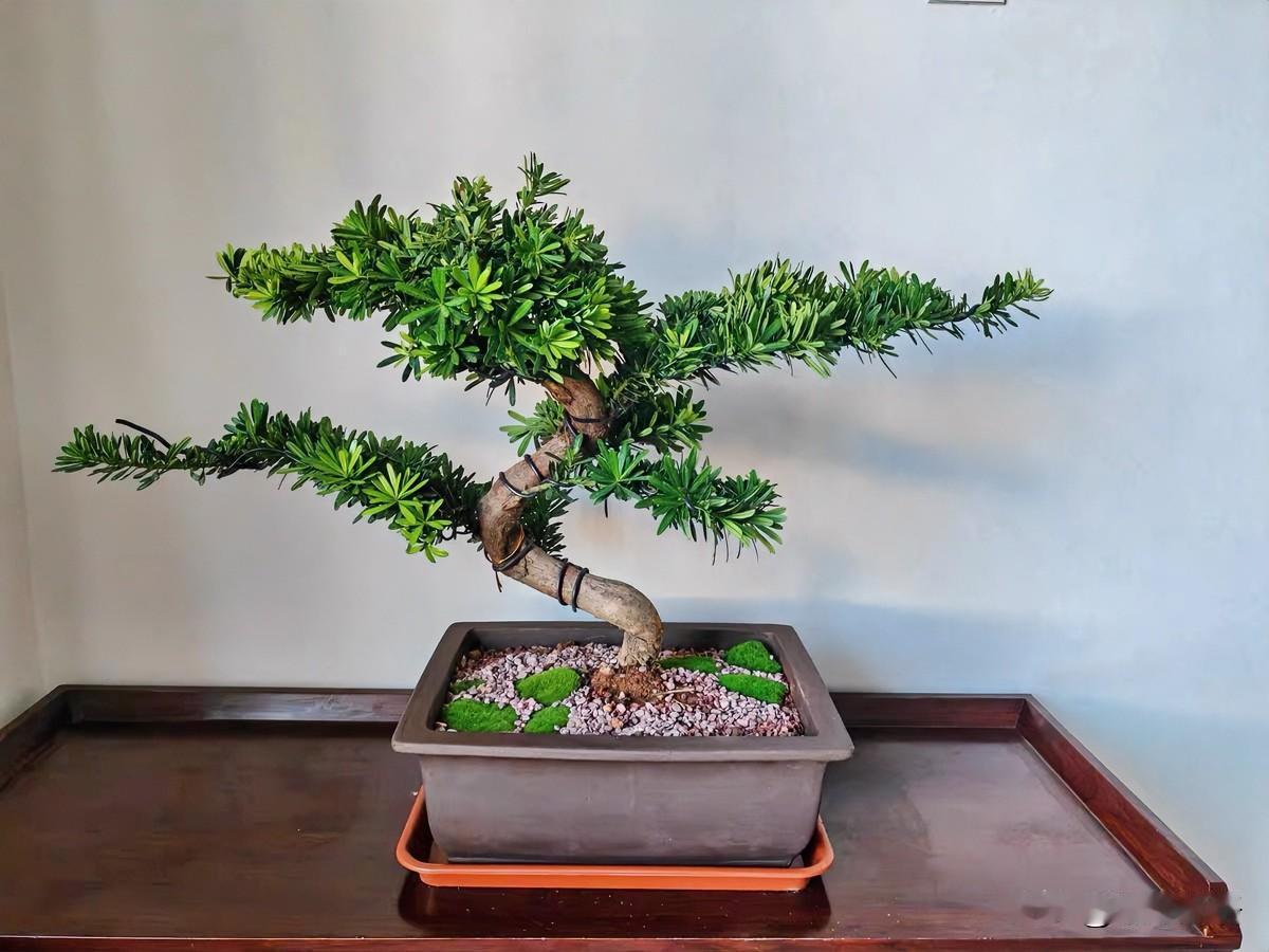 普通家庭的父母，做到以下这几条，孩子想不争气都难！1、立规矩讲道理全家一起