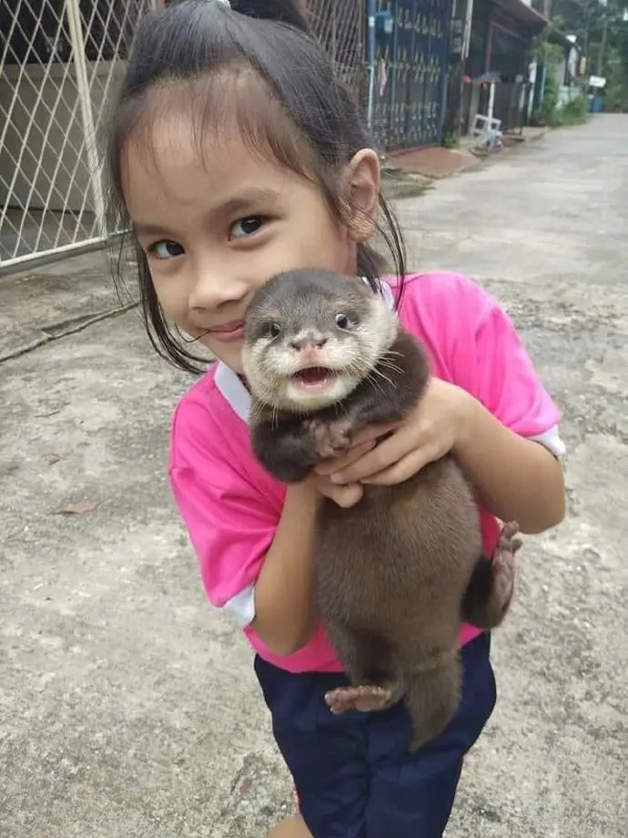 小女孩与她的宠物，可爱吗