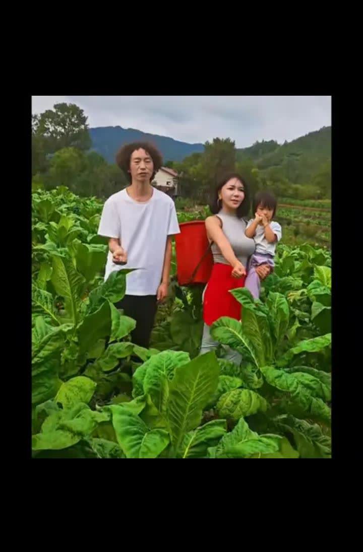 稍一松懈，庞麦郎就会飞走。龚玥菲终于急眼了。骂庞麦郎不知好歹。但明眼人一眼就