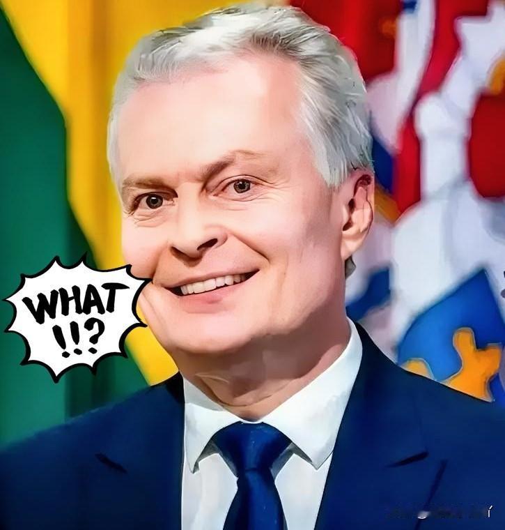 顶不住了！立陶宛总统瑙塞达终于松口了：“2021年允许台当局设立代表处，是我