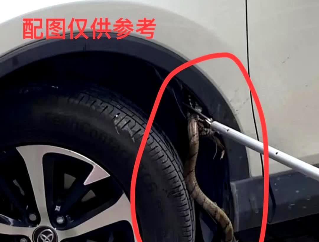 一觉醒来网约车圈又出大事了！就在5月14号，天津的一名司机在接最