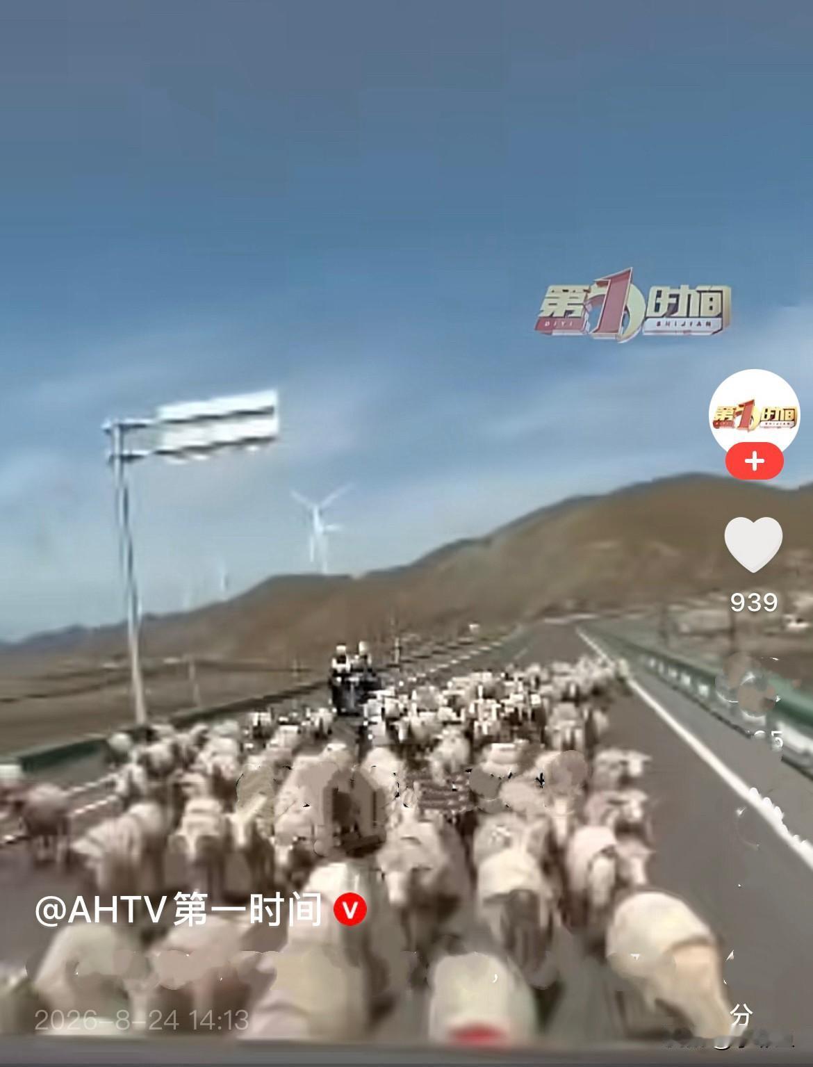 近日甘肃武威，车主韩先生正常驾车行驶在路上。就因为开车途中一时分神、注意力不集中