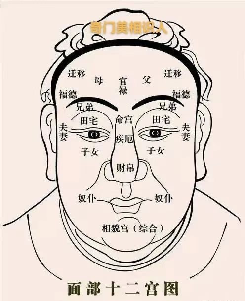 面相小知识面相风水①额头饱满➡主富贵②太阳穴丰盈➡夫妻和睦③眼有卧蚕➡福气自来④