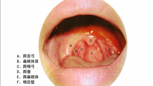 2134650123851050416.jpeg?id=0