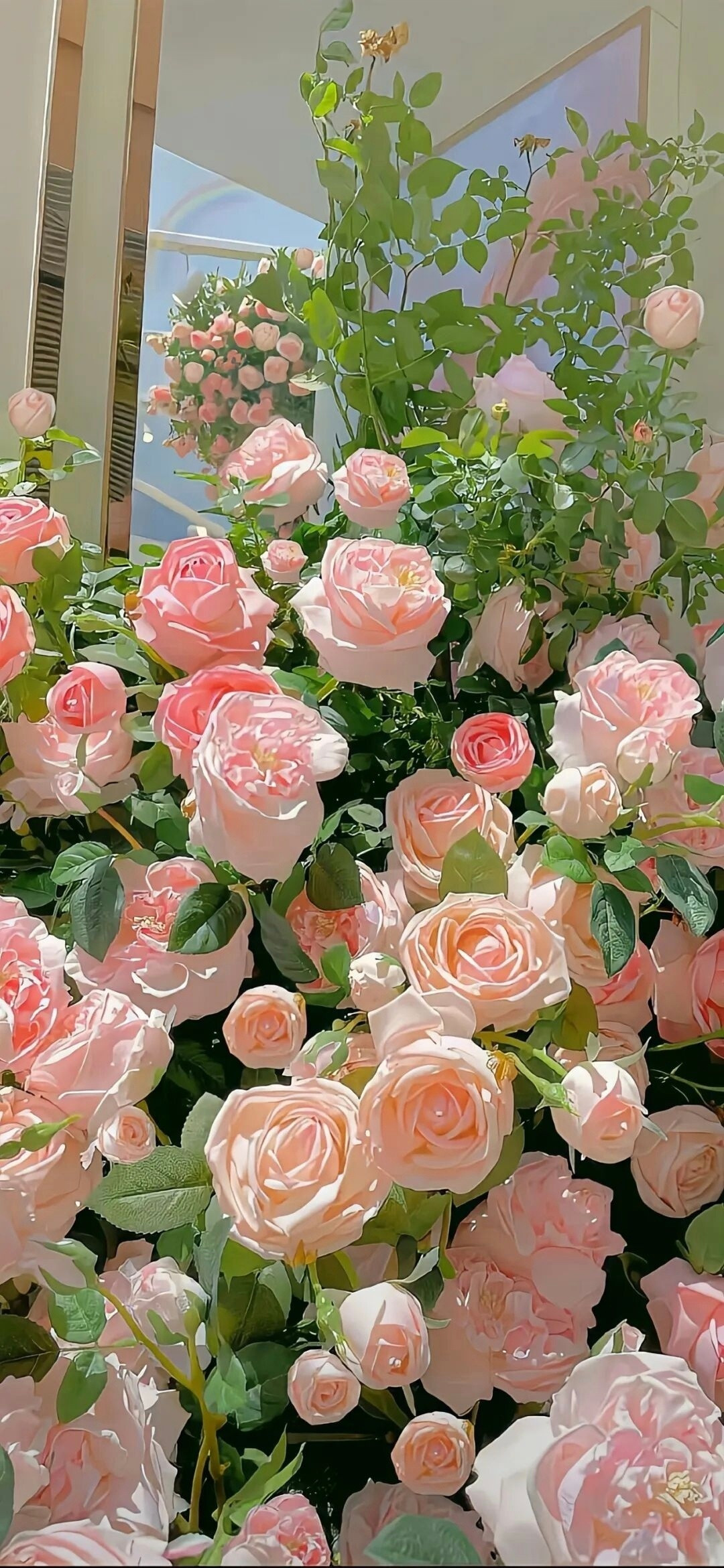 鲜花🌷壁纸高清专栏·壁纸