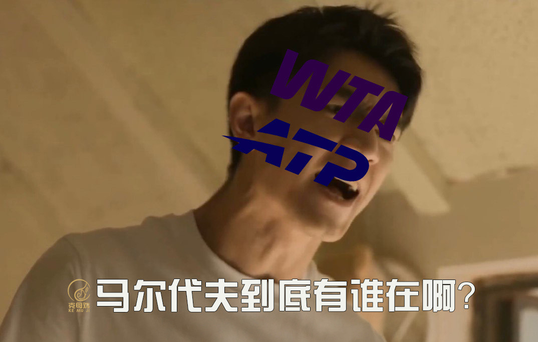 ATP/WTA如果在马尔代夫搞个小年终，估计参赛阵容会不错目前休赛期晒出去马尔代