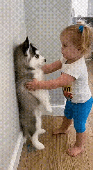 小朋友跟小狗对话的温馨画面太好玩了。