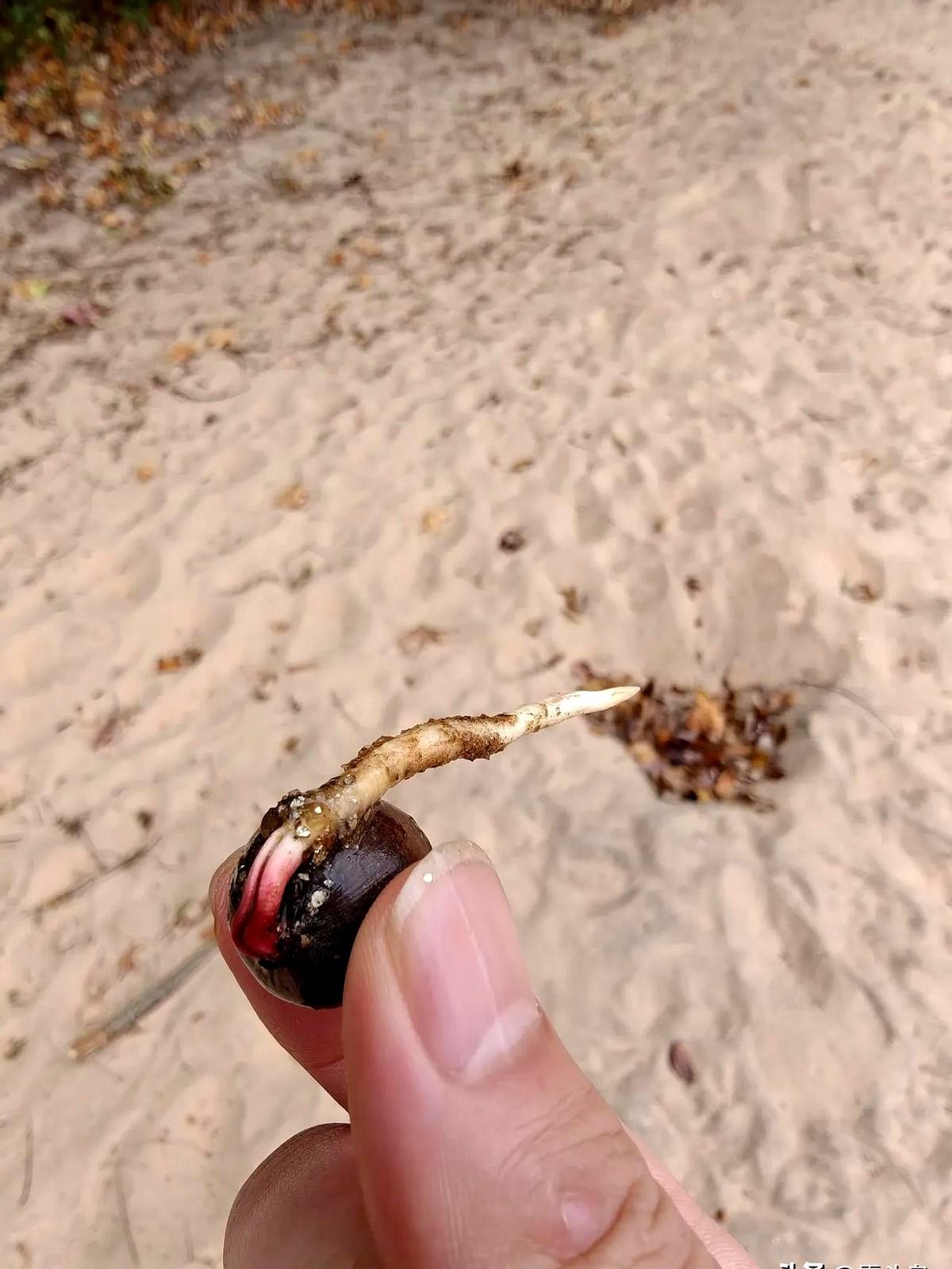 2023年夏天,影院里小孩打瞌睡,大人刷手机,漫威新片票房扑街,DC亏到肉疼。