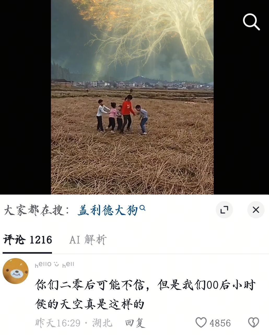 我也见过
