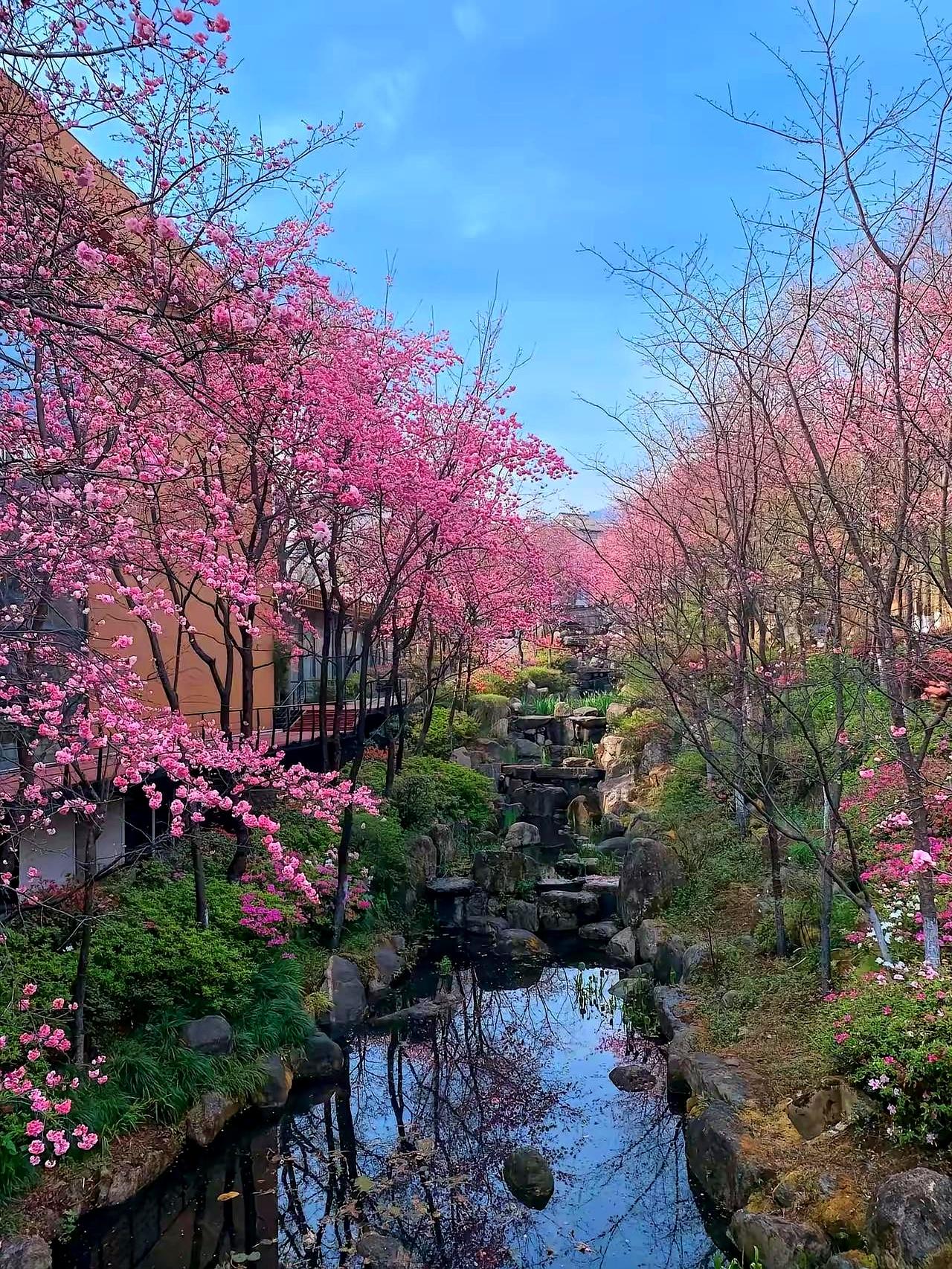 姐妹们，你们知道对付不老实男人的最狠一招是什么吗？说白了就是“谈钱”！一位资