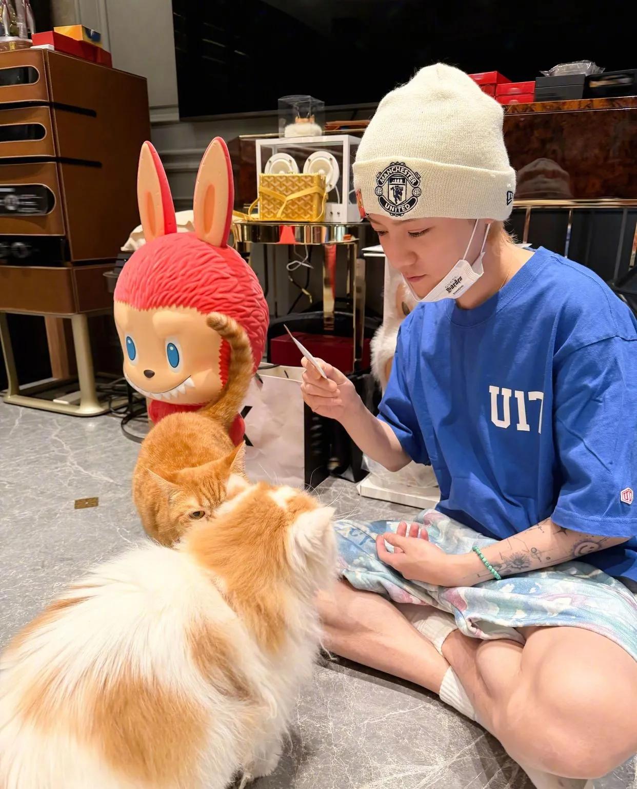 明星不愧是明星，我鹿哥在家里也要戴帽子，戴口罩！鹿晗挺让人惋惜的一位艺人，当