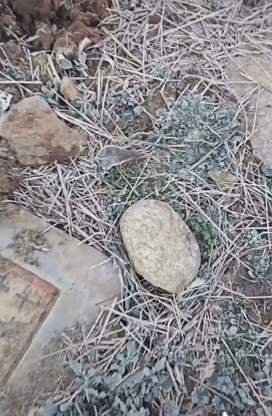 一块上了人民日报的石头！安徽肥西，男子回到农村老家，在厨房后面的草地上发现一块石