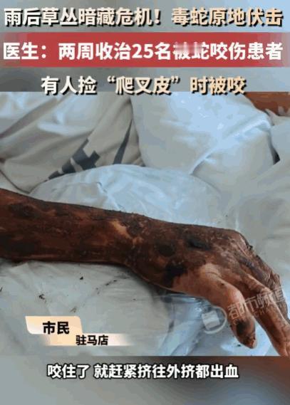 可怕的事接连上演！8月15日东方生活网报道，河南一名男子雨后钻进草丛捡“爬叉皮”